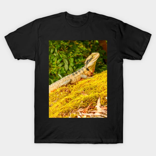 Australian Water Dragon T-Shirt by Upbeat Traveler